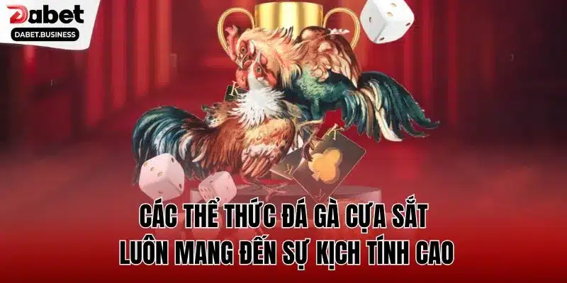 Các thể thức đá gà cựa sắt luôn mang đến sự kịch tính cao