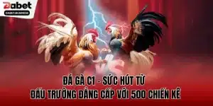 đá gà C1