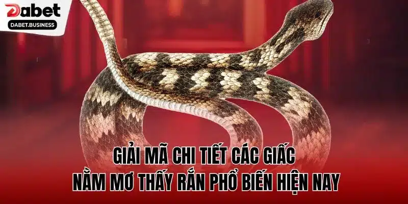 Giải mã chi tiết các giấc nằm mơ thấy rắn phổ biến hiện nay