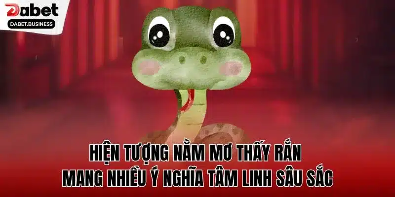 Hiện tượng nằm mơ thấy rắn mang nhiều ý nghĩa tâm linh sâu sắc