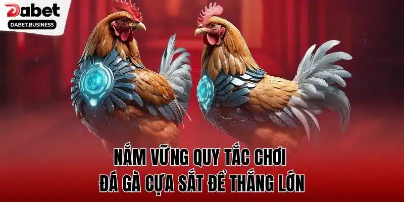 Nắm vững quy tắc chơi đá gà cựa sắt để thắng lớn