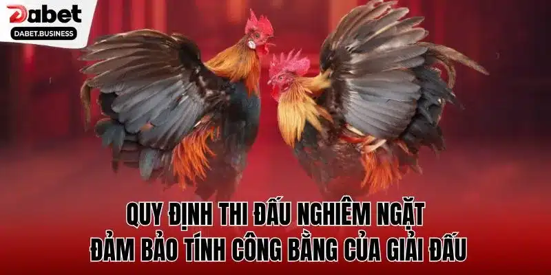 Quy định thi đấu nghiêm ngặt đảm bảo tính công bằng của giải đấu